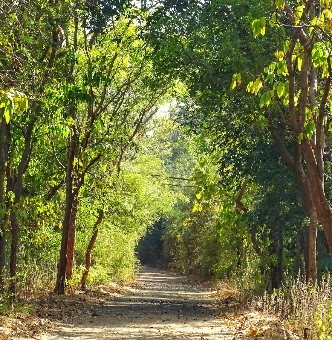 Nature park